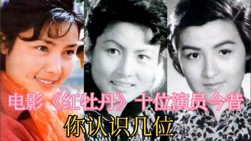 电影红牡丹在线观看,传奇人生，光影交织  第3张