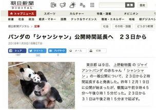 熊猫天天最新新闻爆料,最新热点事件内幕曝光 第1张 熊猫天天最新新闻爆料,最新热点事件内幕曝光 第1张